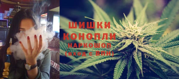 PSILOCYBIN Сосновка